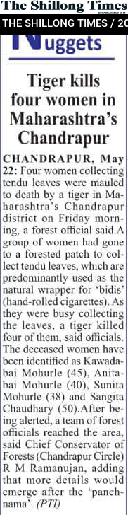 Tiger kills four women in Maharashtra’s Chandrapur