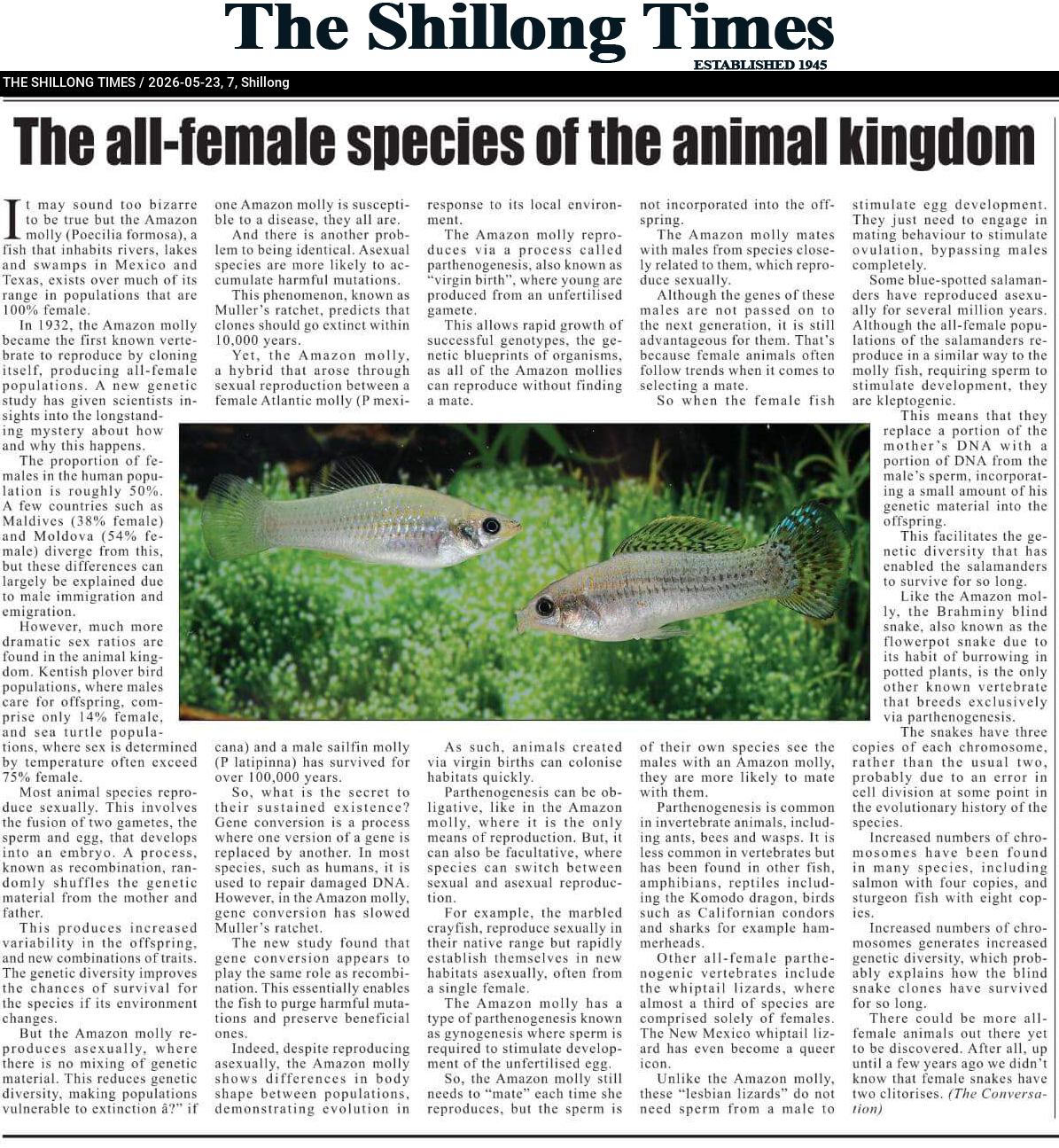The all-female species of the animal kingdom