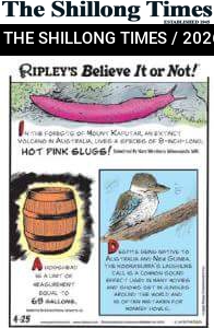 RIPLEY’S Believe It or Not!