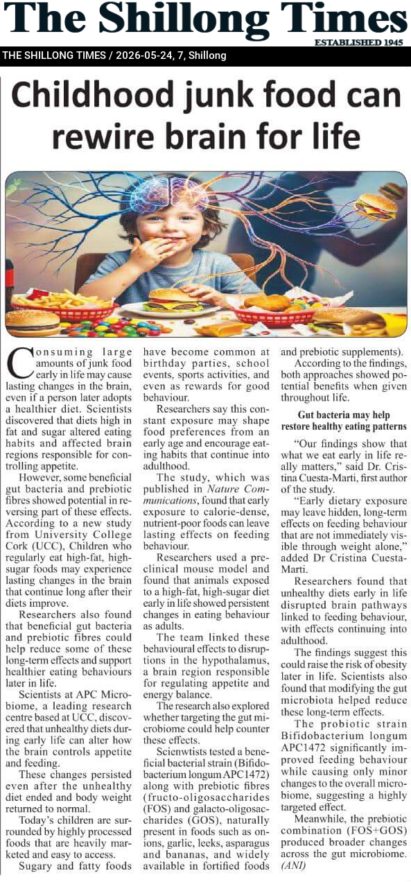 Childhood junk food can rewire brain for life