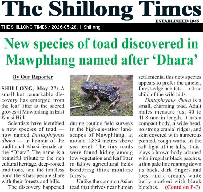 New species of toad discovered in Mawphlang named after ‘Dhara’