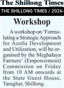Workshop